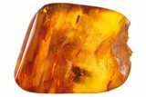 Detailed Fossil Fly, Ant and Spider in Baltic Amber #128329-1